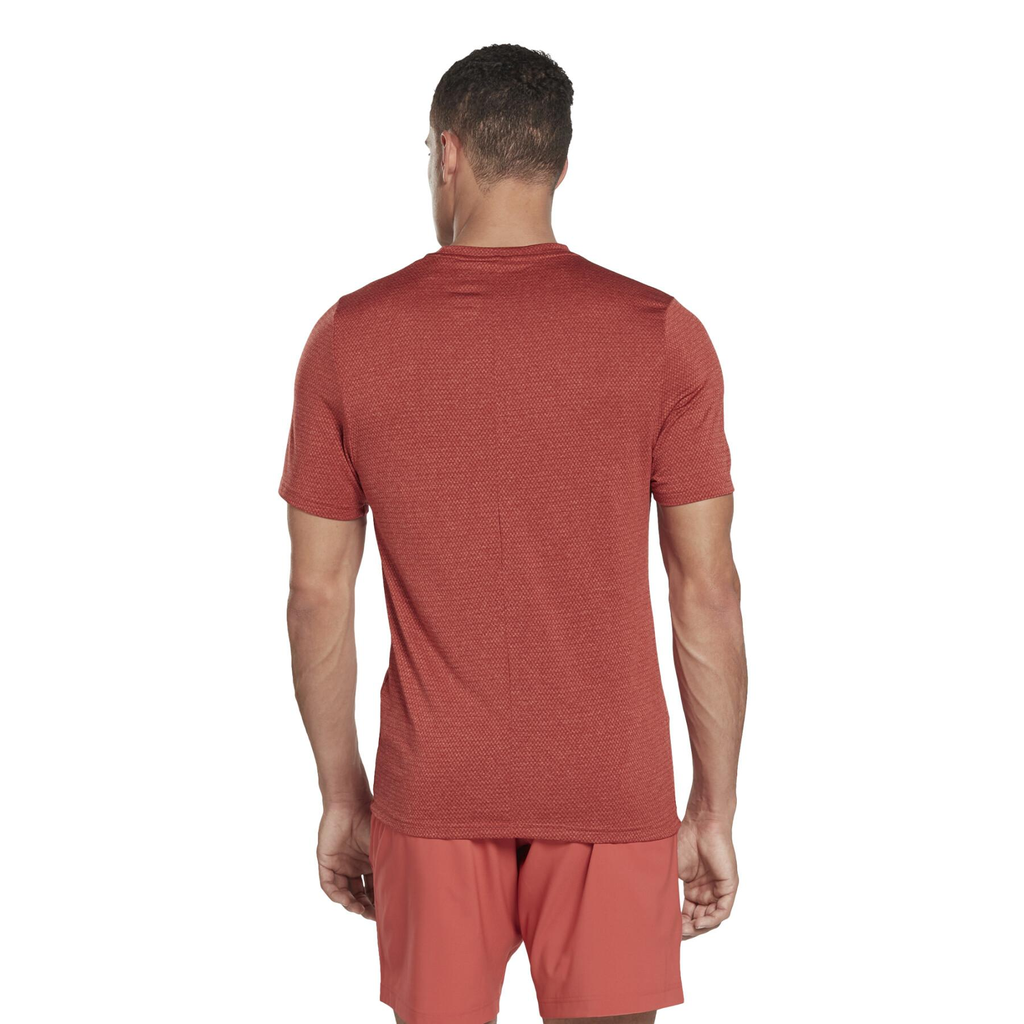 Чоловіча футболка REEBOK WORKOUT READY MELANGE HA9006