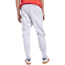 Чоловічі спортивні штани Reebok CLASSICS VECTOR FK2672