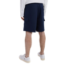 Шорти чоловічі Reebok Classics EJ8780