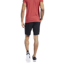 Чоловічі спортивні шорти Reebok WORKOUT READY GRAPHIC FP9085