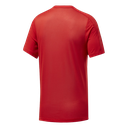 Чоловіча футболка Reebok WORKOUT READY POLYESTER TECH FP9094