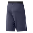 Чоловічі спортивні шорти Reebok Workout Ready Commercial Knit Short M FP9188