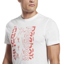 Чоловіча футболка Reebok Vector Graphic Tee GL3162