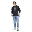 Чоловіче худі Reebok Classics Camping Graphic GS4191