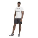 Чоловіча футболка Reebok Tech Style 60/40 Graphic GS6597
