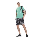 Чоловічі шорти Reebok MYT GS9006