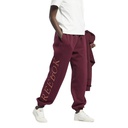 Жіночі штани Reebok Classics Graphic Fleece H43025
