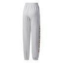 Жіночі джоггери Reebok Classics Graphic Fleece GR0381