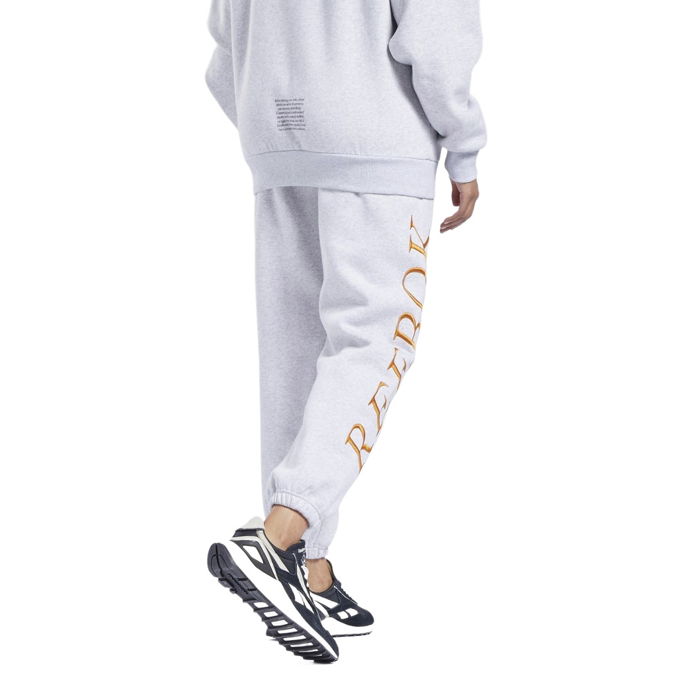 Жіночі джоггери Reebok Classics Graphic Fleece GR0381