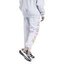 Жіночі джоггери Reebok Classics Graphic Fleece GR0381