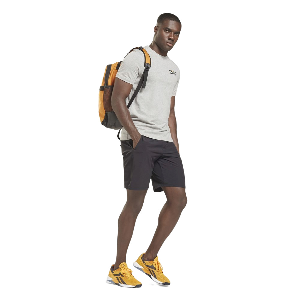 Чоловіча футболка reebok SEASONAL GRAPHIC GS4230