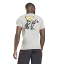 Чоловіча футболка reebok SEASONAL GRAPHIC GS4230