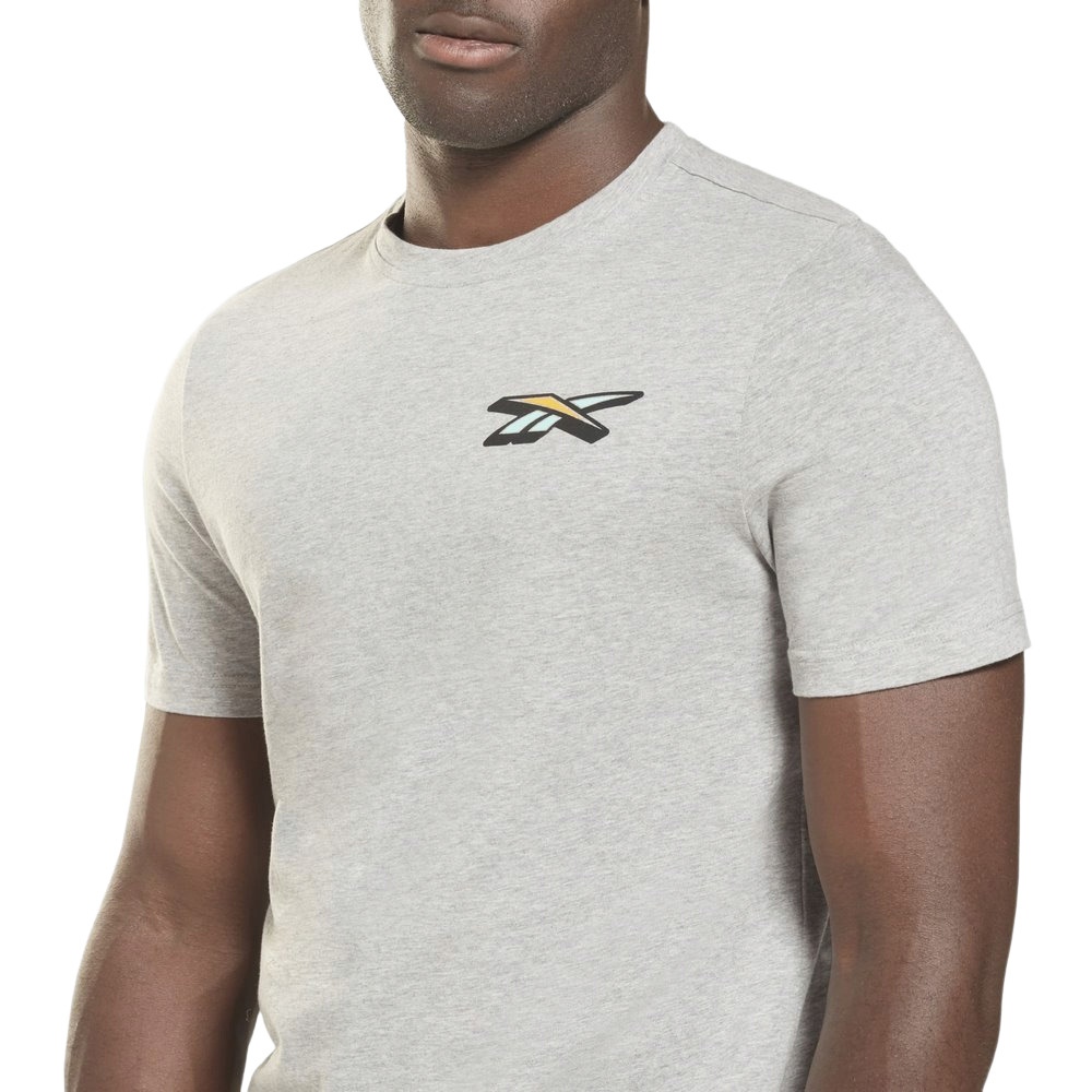 Чоловіча футболка reebok SEASONAL GRAPHIC GS4230