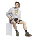 Чоловіче худі Reebok Classics Camping Graphic GV3430