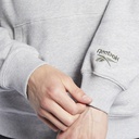 Чоловіче худі Reebok Classics Camping Graphic GV3430