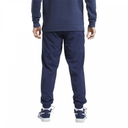 Чоловічі спортивні штани Reebok Te Wvn C Lined Pant FU3103