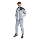 Чоловіча спортивна куртка Reebok CLASSICS VECTOR GL1643