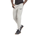 Чоловічі спортивні штани REEBOK IDENTITY VECTOR GS1597