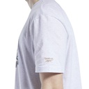 Чоловіча футболка Reebok CLASSICS GOLF GS1656