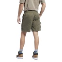 Чоловічі шорти Reebok CLASSICS CAMPING GS4187