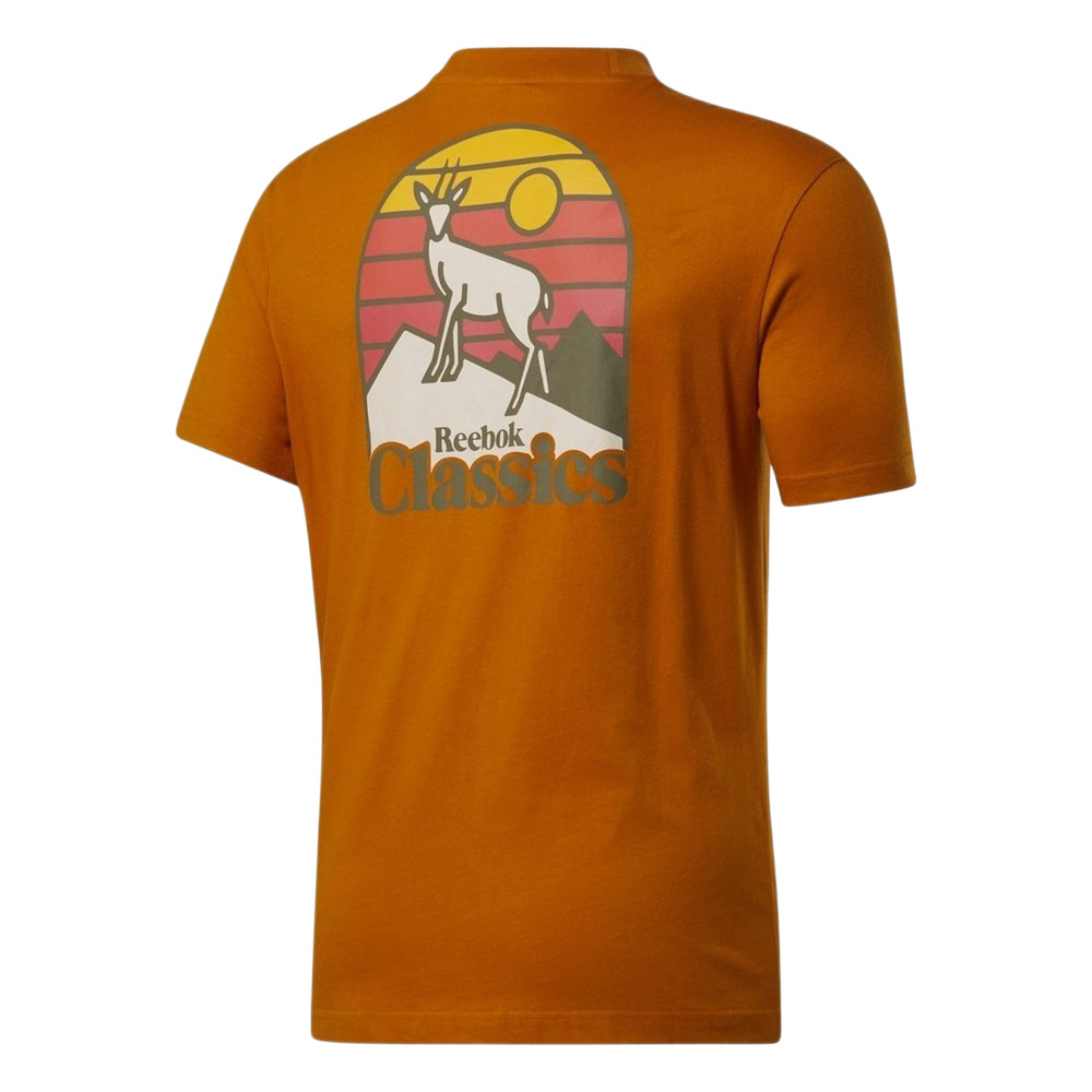 Чоловіча футболка Reebok CLASSICS CAMPING GRAPHIC GS4195