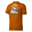 Чоловіча футболка Reebok CLASSICS CAMPING GRAPHIC GS4195