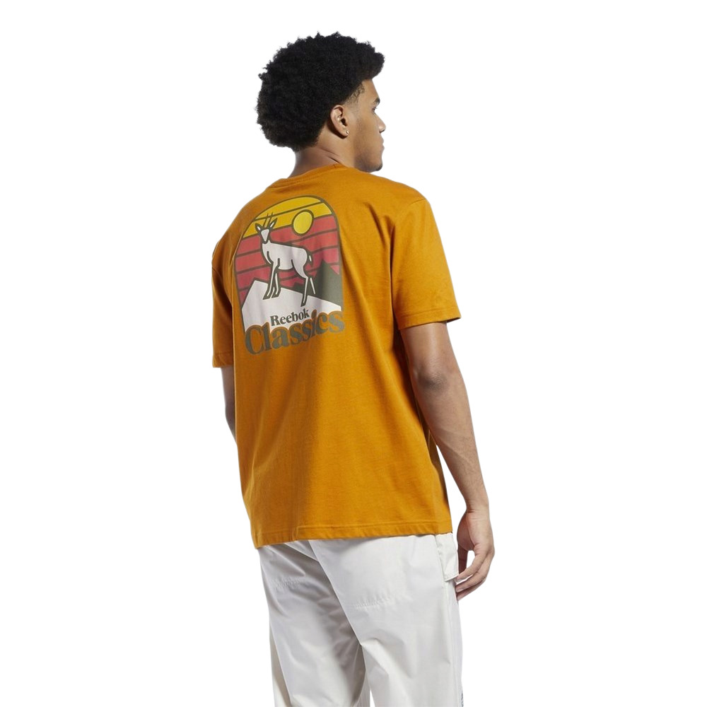 Чоловіча футболка Reebok CLASSICS CAMPING GRAPHIC GS4195