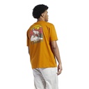 Чоловіча футболка Reebok CLASSICS CAMPING GRAPHIC GS4195