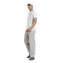 Чоловіча футболка Reebok WEIGHTLIFTING NOVELTY GRAPHIC GS4224