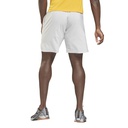 Чоловічі шорти Reebok EPIC LIGHTWEIGHT GRAPHIC GS6578