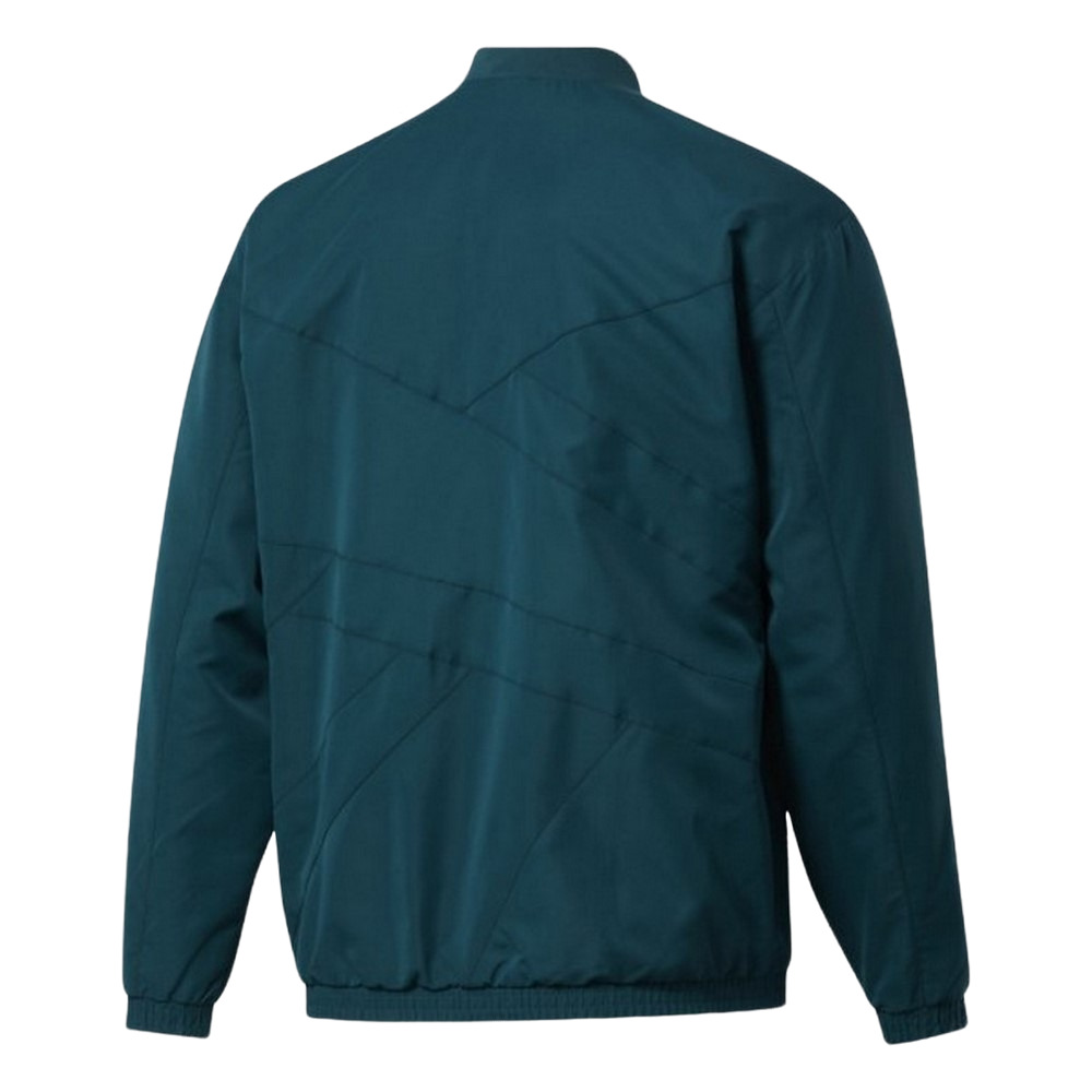 Чоловіча олімпійка Reebok Classics Back Vector GS9135