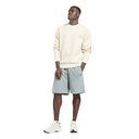 Чоловічий світшот Reebok DREAMBLEND COTTON GT3243
