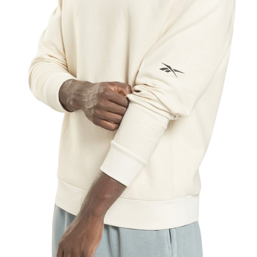 Чоловічий світшот Reebok DREAMBLEND COTTON GT3243