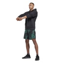 Чоловіче худі Reebok THERMOWARM+GRAPHENE COTTON FLEECE GT3249