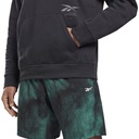 Чоловіче худі Reebok THERMOWARM+GRAPHENE COTTON FLEECE GT3249