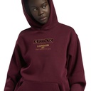 Жіноче худі Reebok CLASSICS OVERSIZE FLEECE GV3322