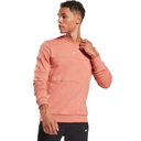 Чоловічий світшот Reebok MYT Minimal Waste H54332