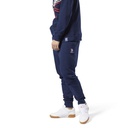 Чоловічі спортивні штани Reebok Classics French Terry DH2079
