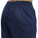 Чоловічі спортивні штани Reebok WORKOUT READY FK6202