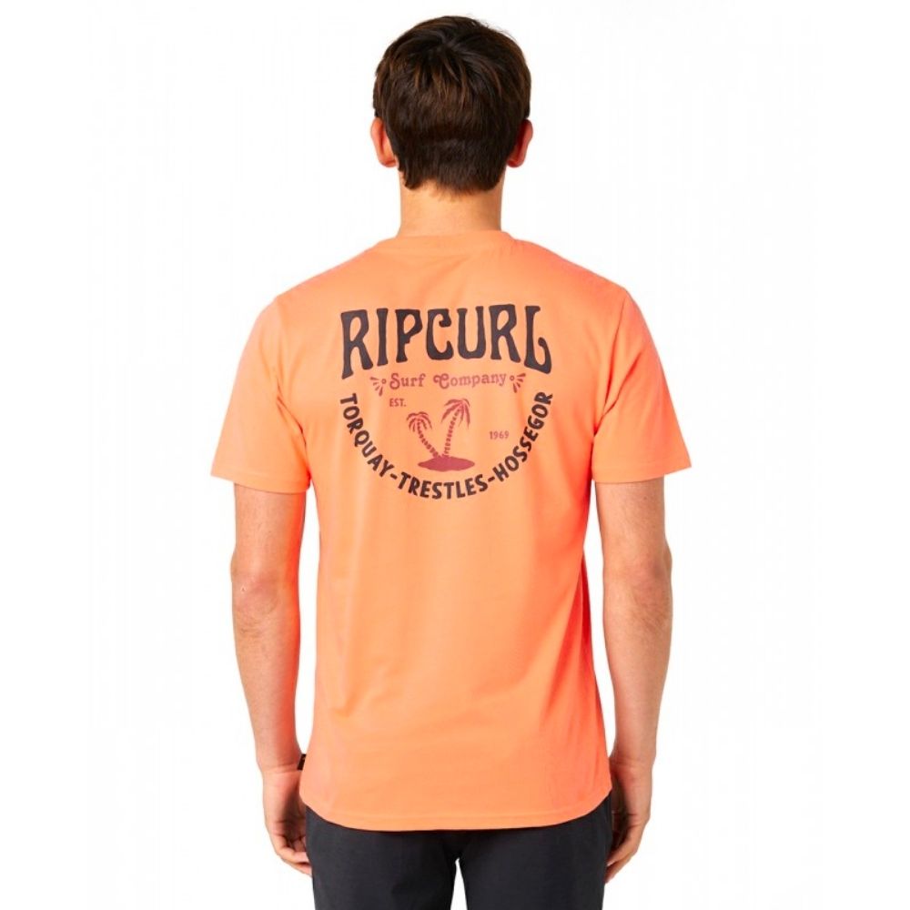 Чоловіча футболка Rip Curl F&amp;B TEE 048MTE-165