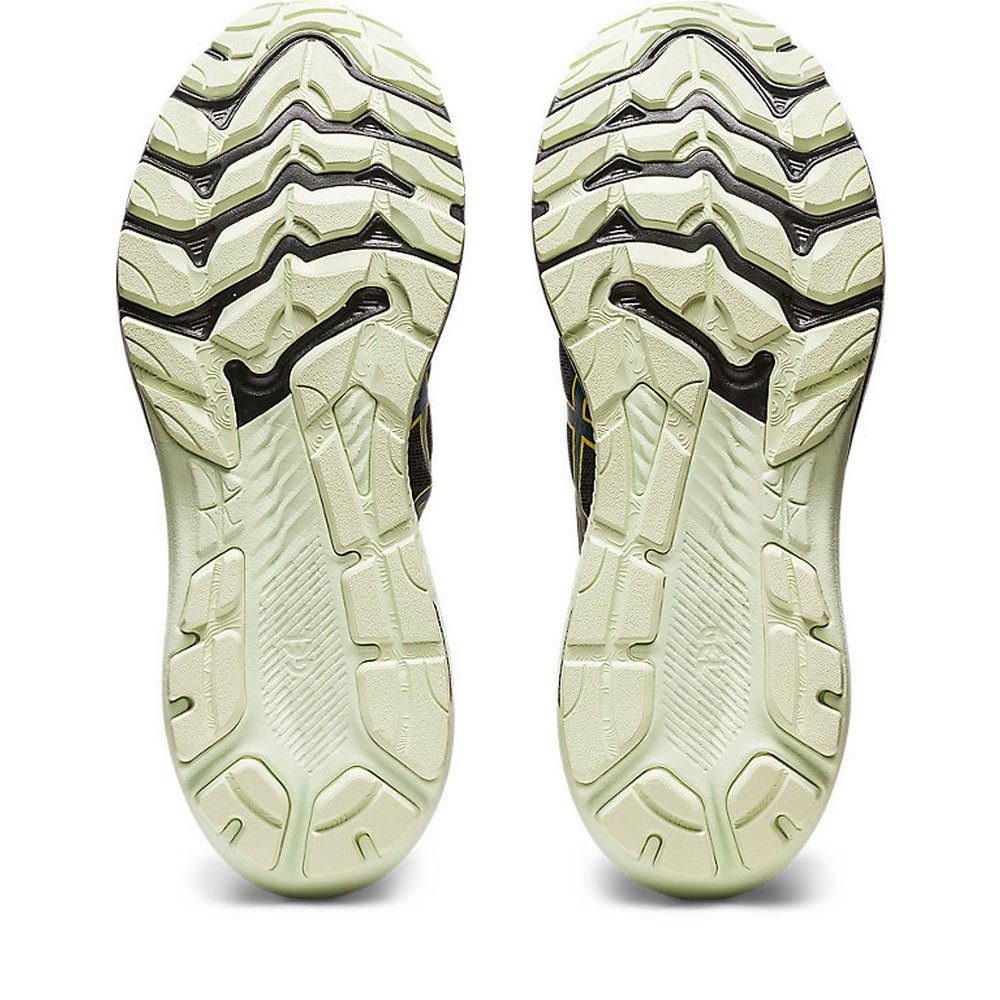 Чоловічі бігові кросівки ASICS GT-2000 11 GTX 1011B477-002