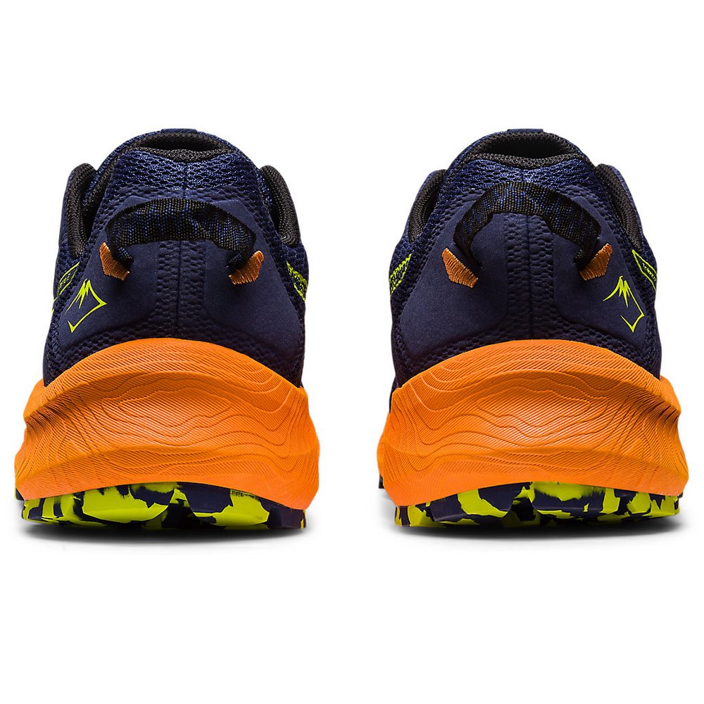 Чоловічі бігові кросівки ASICS Trabuco Terra 2 1011B607-400