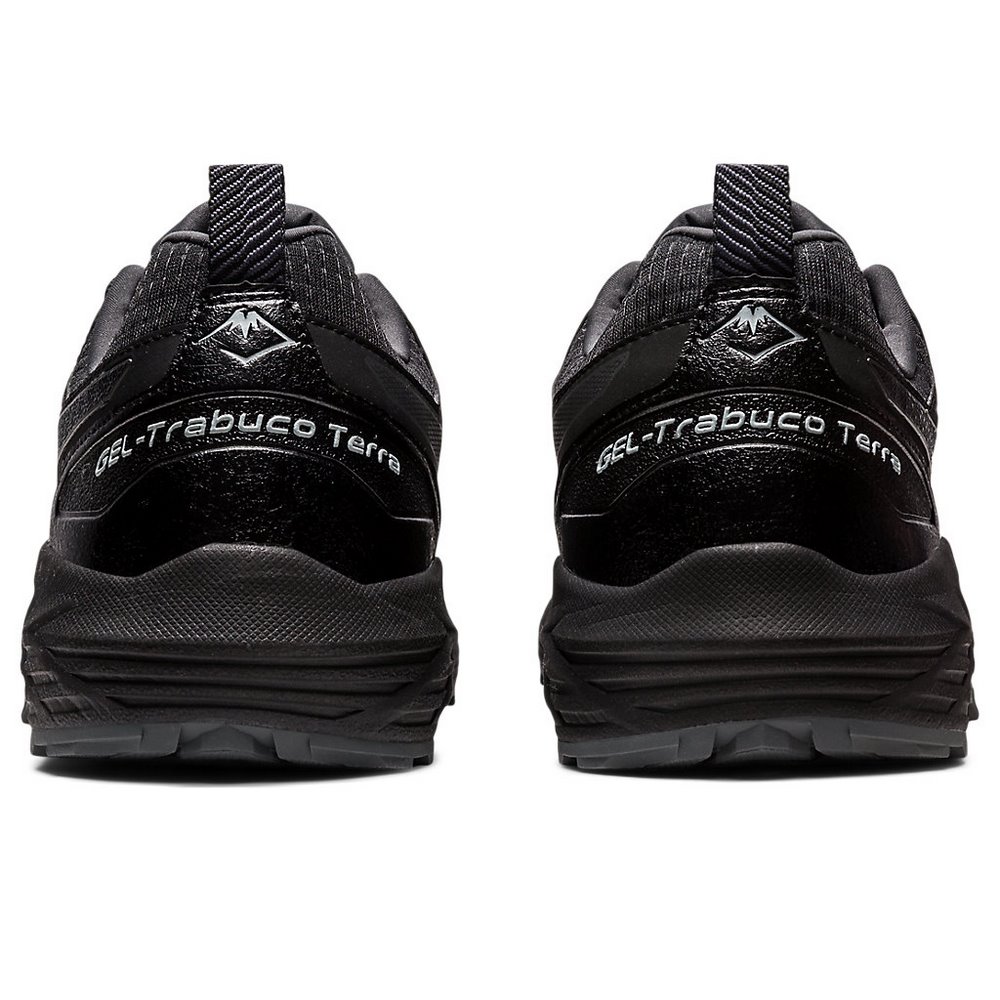 Чоловічі повсякденні кросівки ASICS GEL-Trabuco Terra SPS 1203A238-002