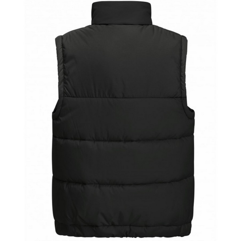 Дитячий жилет Jack Wolfskin TEEN INS VEST Y 1610211_6502