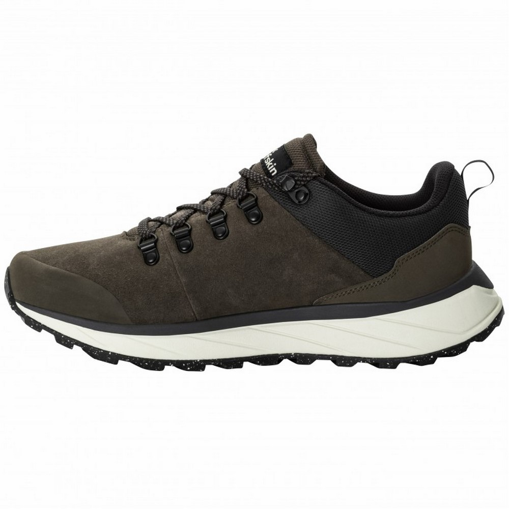Чоловічі демісезонні кросівки Jack Wolfskin TERRAVENTURE URBAN LOW M 4055381_5719