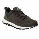 Чоловічі демісезонні кросівки Jack Wolfskin TERRAVENTURE URBAN LOW M 4055381_5719