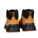 Чоловічі черевики Timberland Field Trekker TB0A1ZQH231