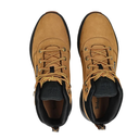 Чоловічі черевики Timberland Field Trekker TB0A1ZQH231