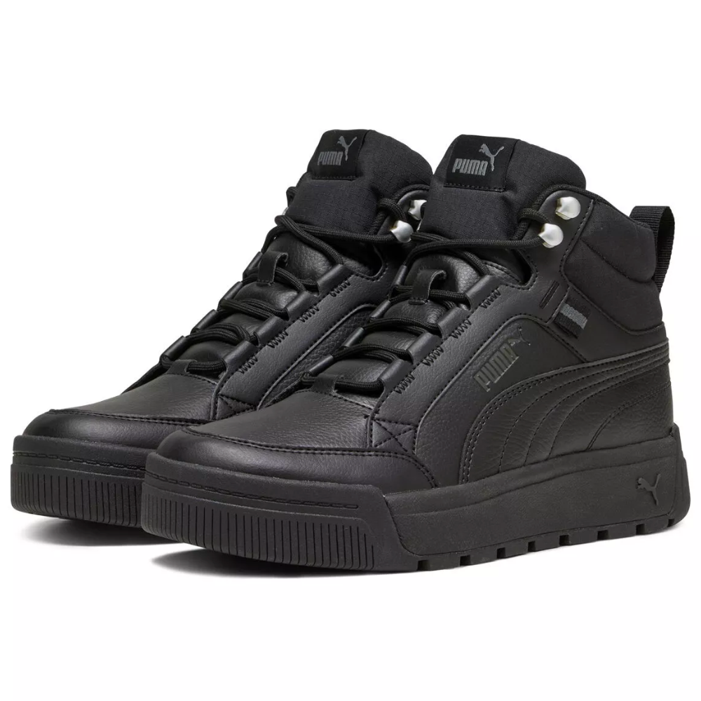 Чоловічі черевики Puma Tarrenz SB III 39262801