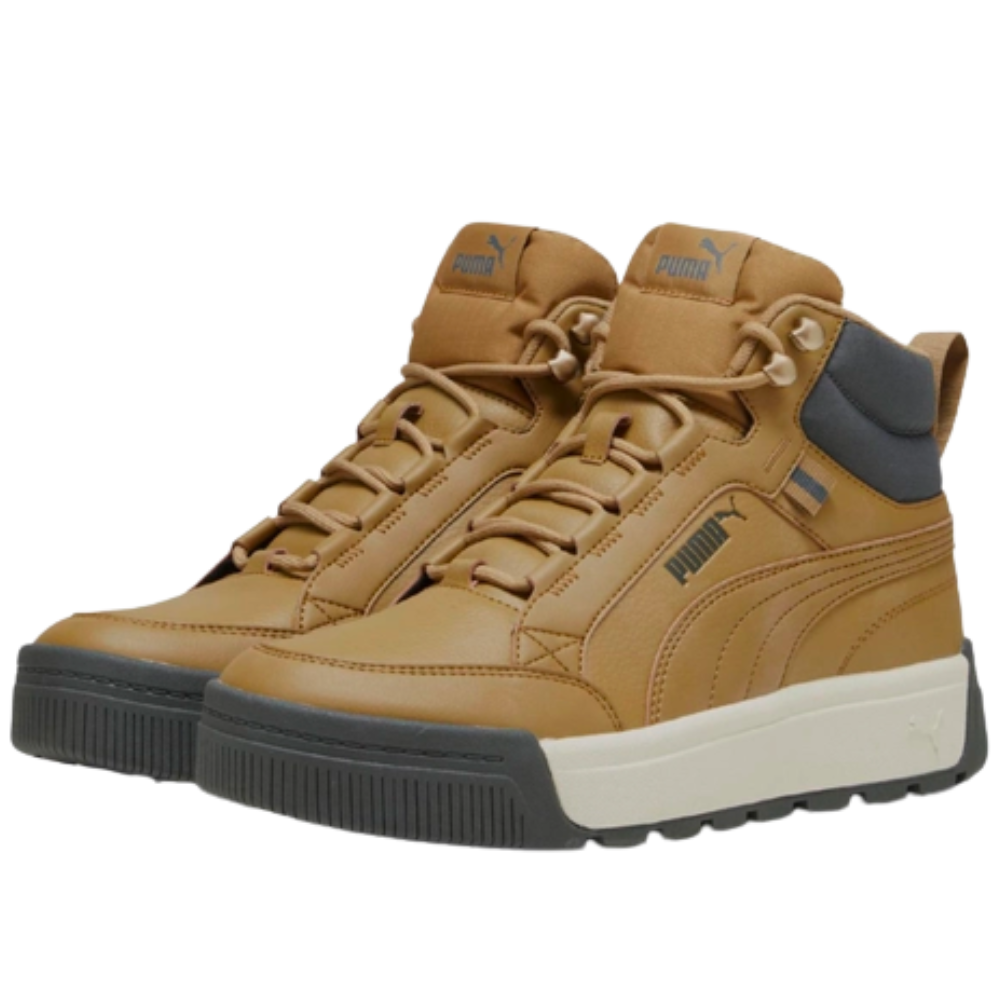 Чоловічі черевики Puma Tarrenz SB III 39262802